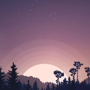 Meet your Posher, Shay